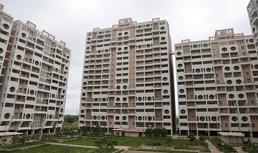 1BHK Flat for Rent in Mansa Apartment Narela